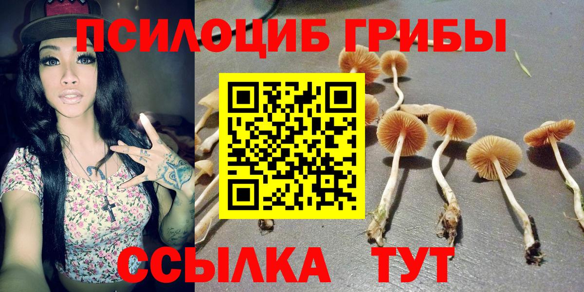 Лянтор  Псилоцибиновые грибы GOLDEN TEACHER  Вход с VPN 