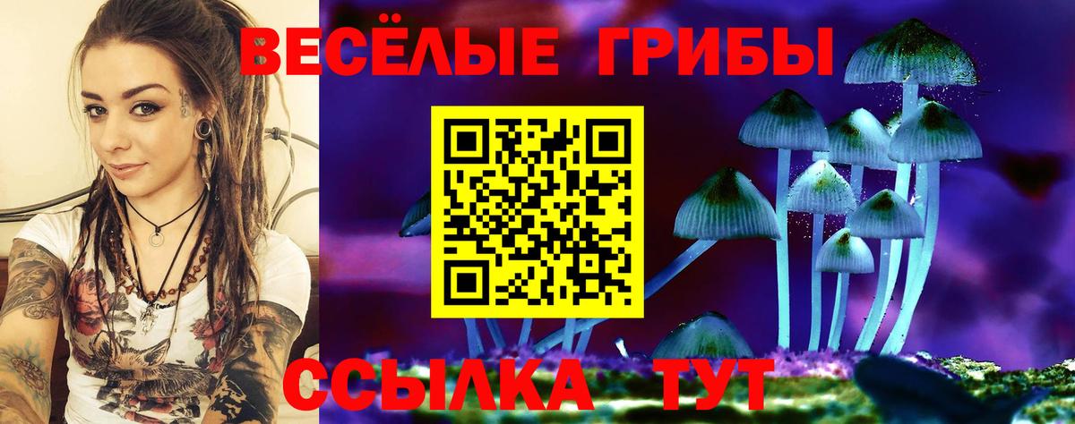 Псилоцибиновые грибы прущие грибы Лянтор